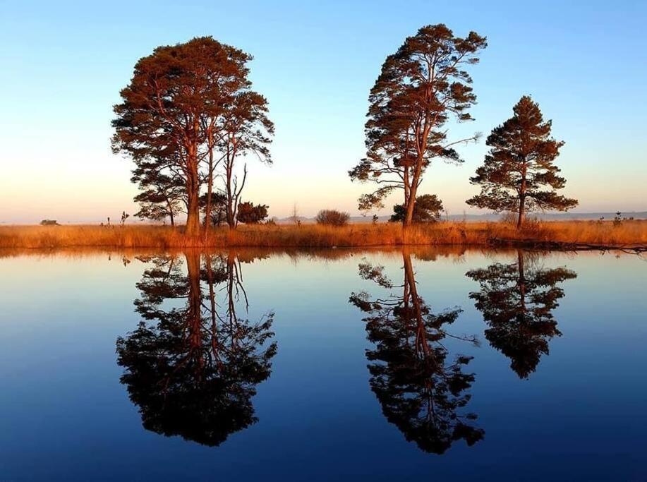 Sfeervol Chalet in Drenthe Bij het Dwingelderveld Villa Spier Buitenkant foto