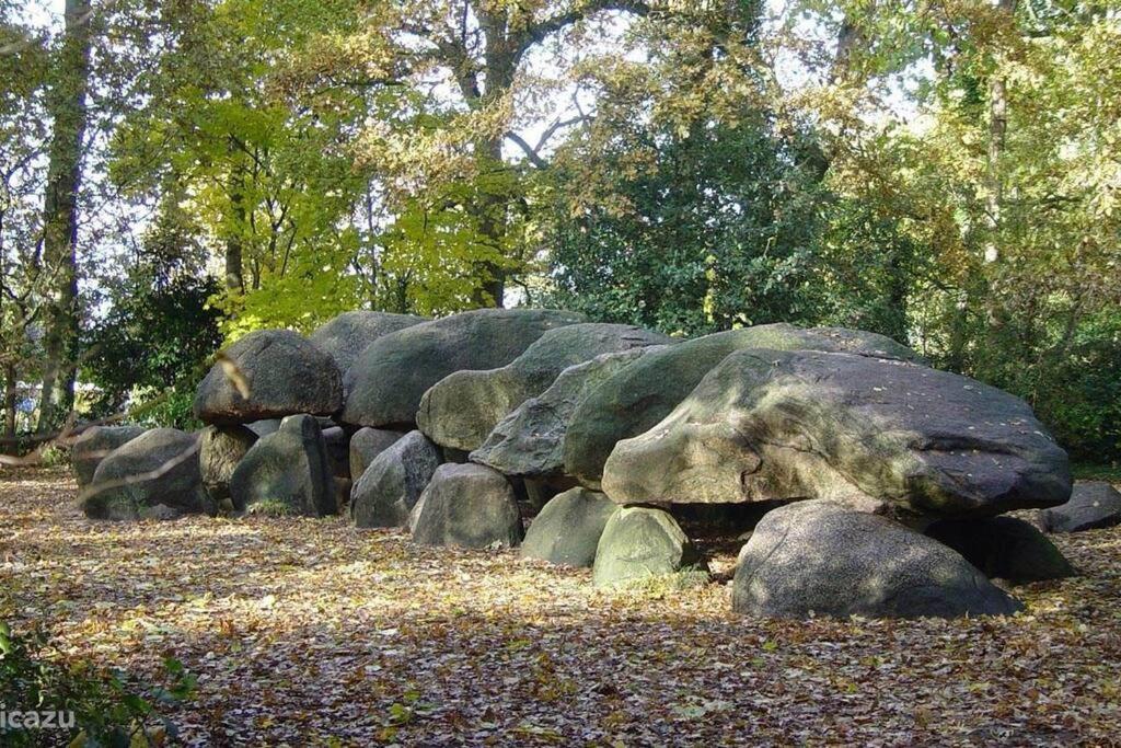 Sfeervol Chalet in Drenthe Bij het Dwingelderveld Villa Spier Buitenkant foto