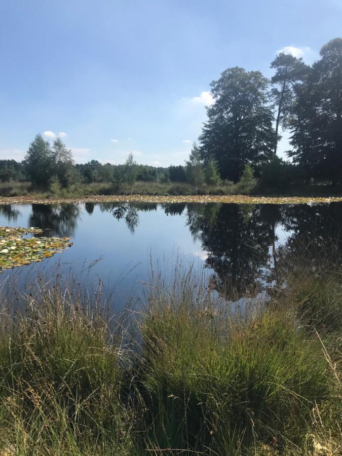 Sfeervol Chalet in Drenthe Bij het Dwingelderveld Villa Spier Buitenkant foto